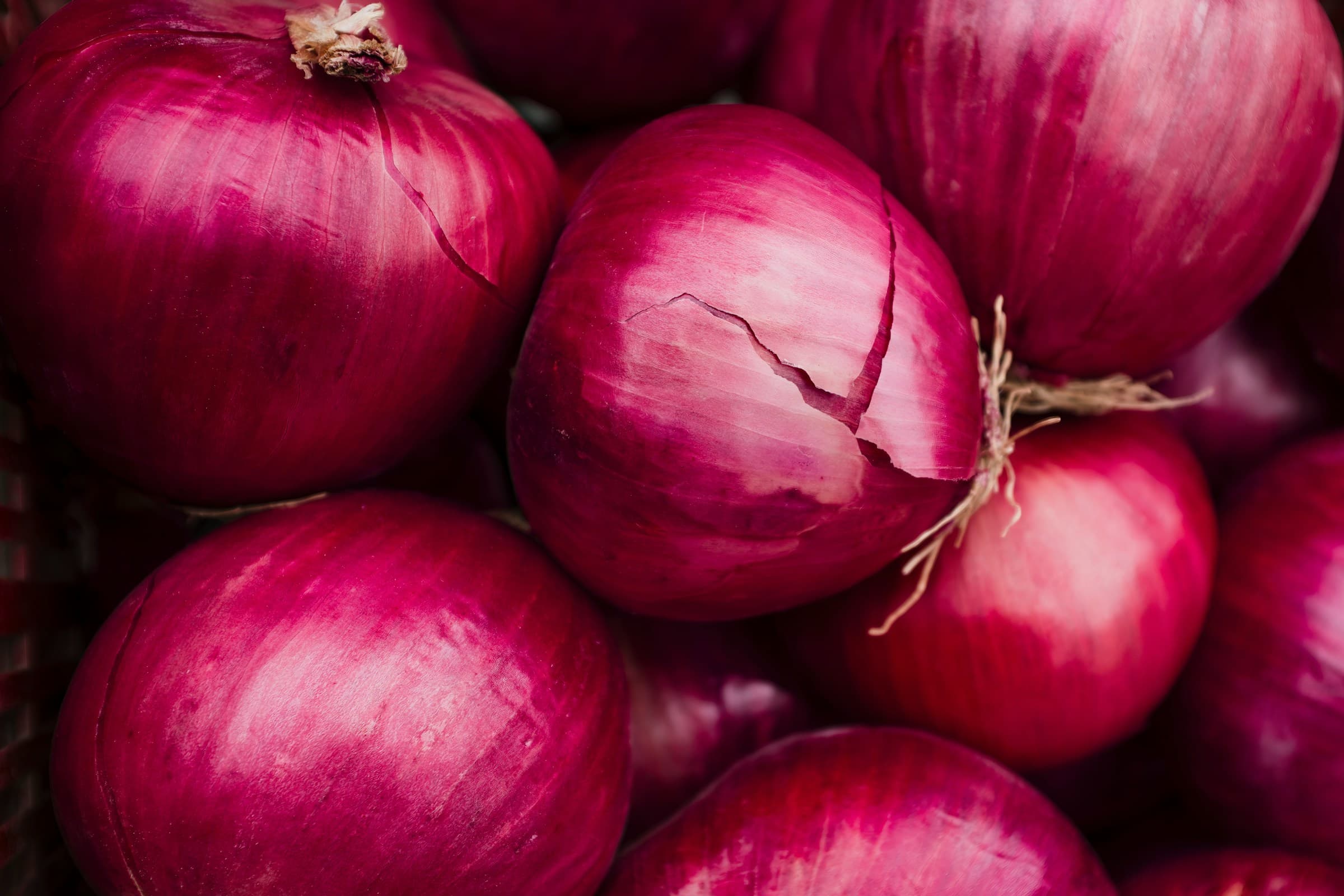 Premium Fresh Onion Exporter & Supplier
