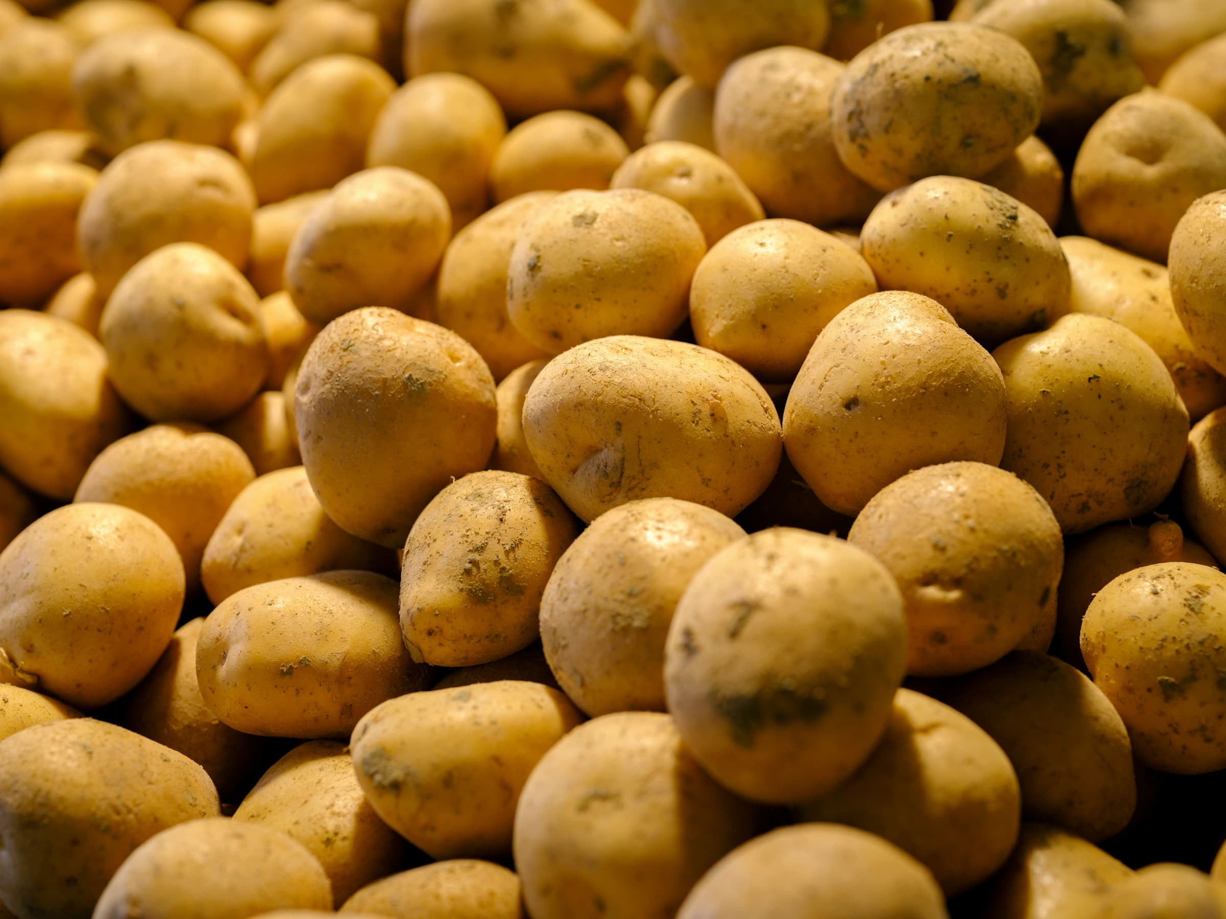 Quality Fresh Potato Exporter & Supplier