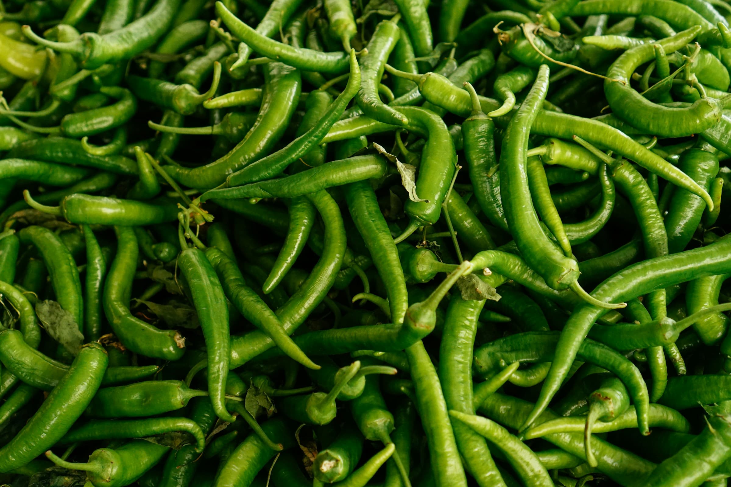 Fresh Green Chilli Exporter & Supplier