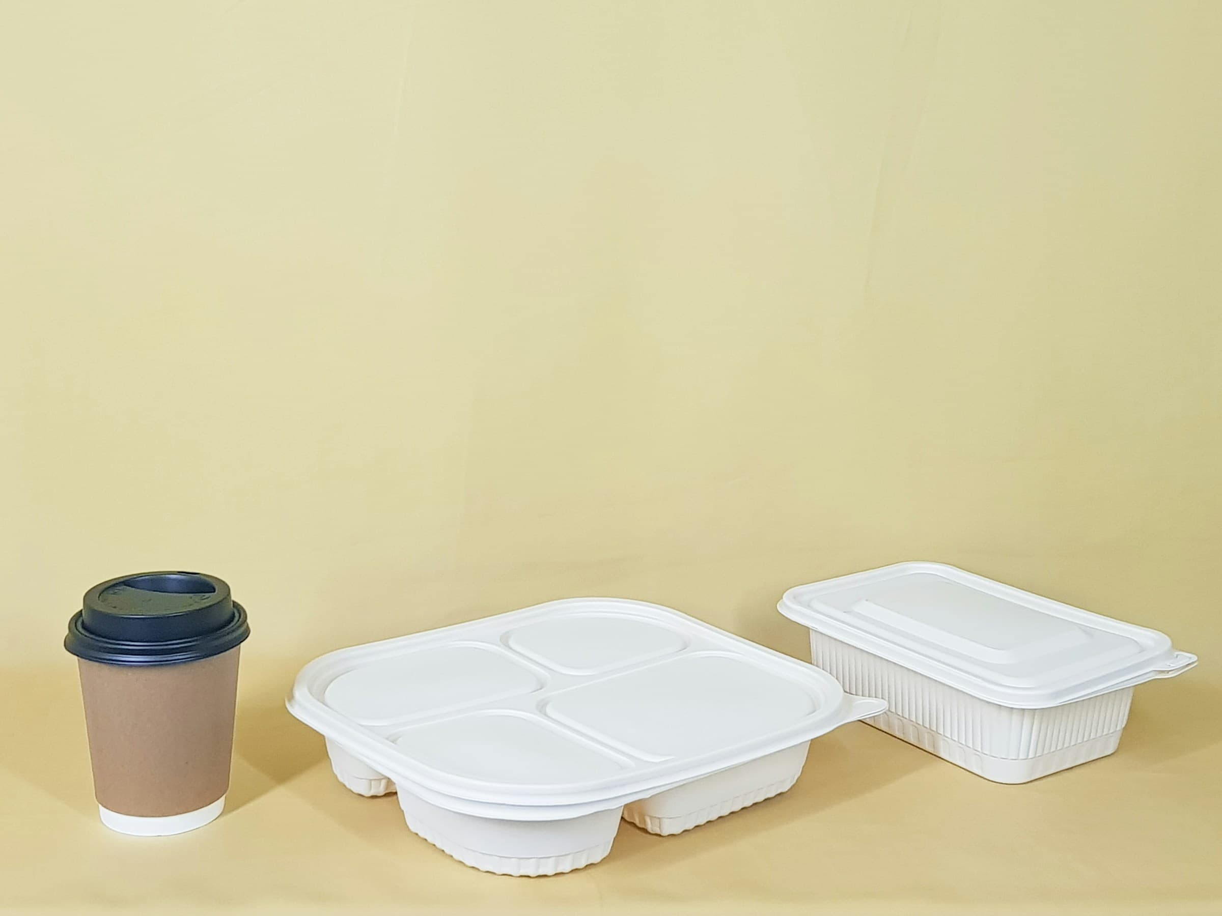 Eco-Friendly Bagasse Food Containers Exporter & Supplier