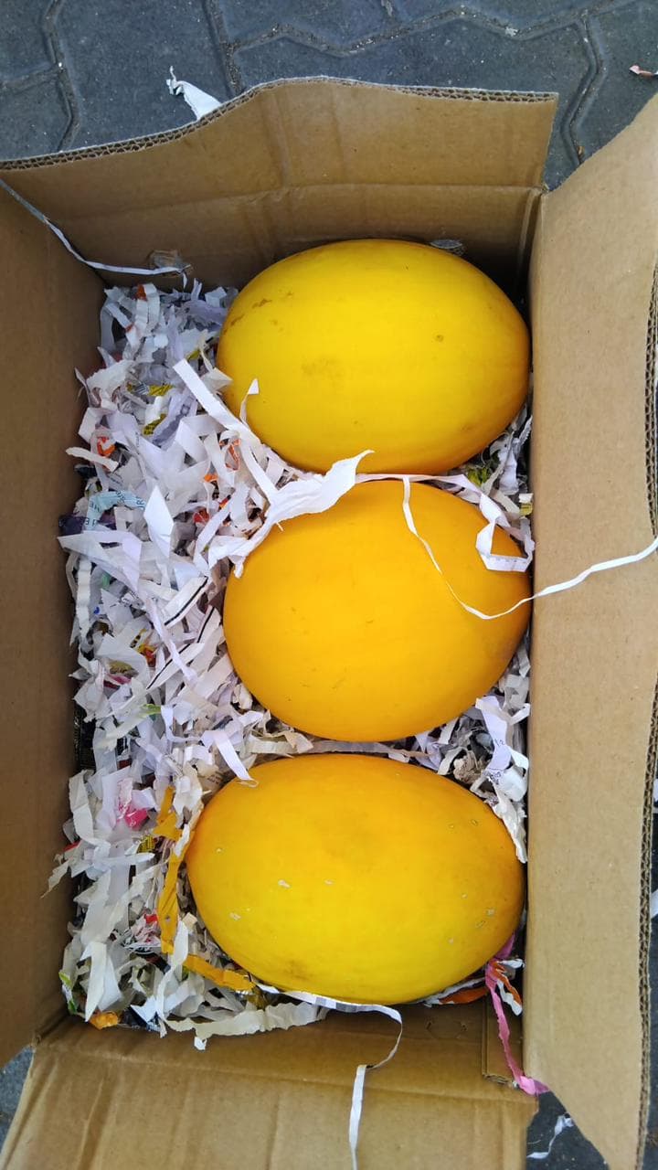 Mango