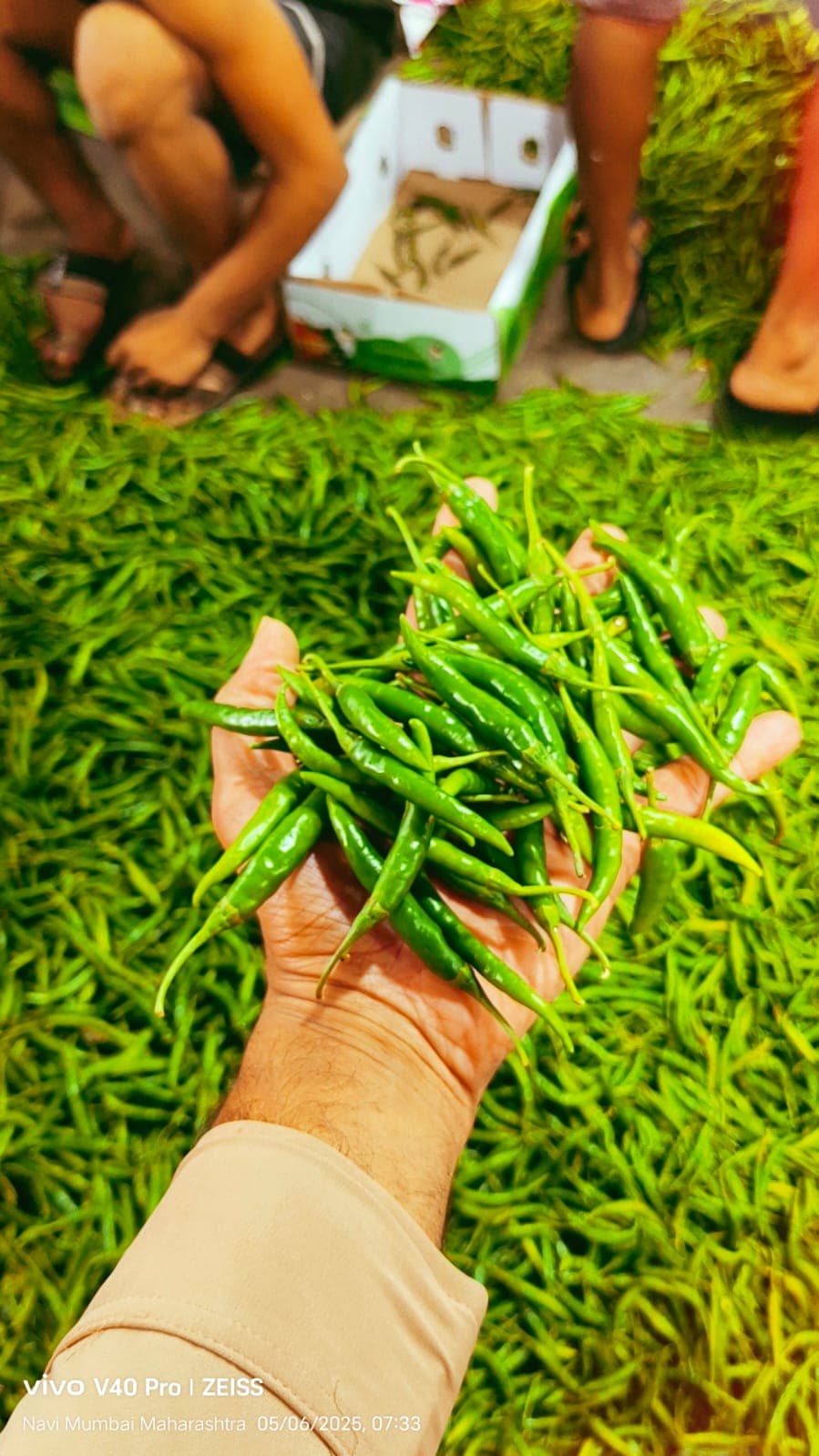 Green Chilli