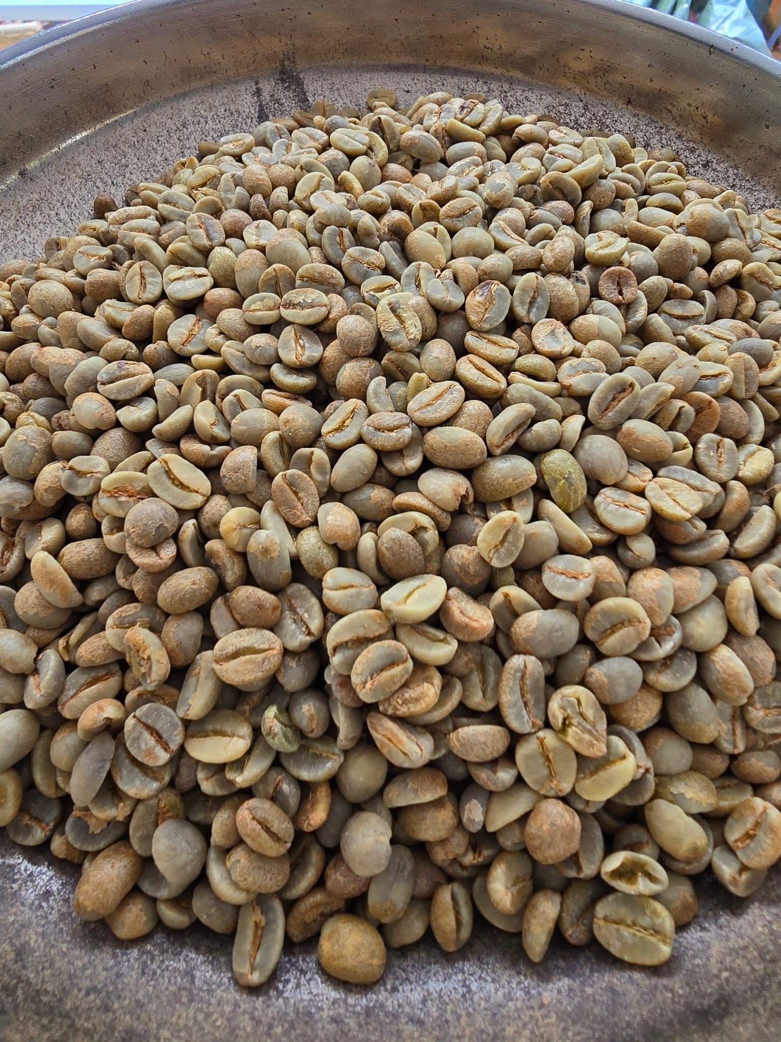 Beans